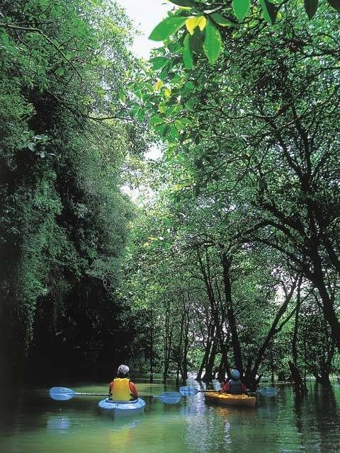 みやら川観光エコステーション