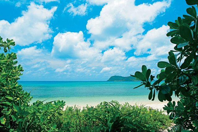 西表島 秘境ビーチへ行ってみよう まっぷるトラベルガイド