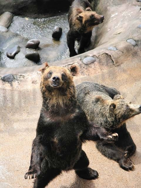 北海道 登別温泉街周辺 おすすめ観光 グルメ ショッピング まっぷるトラベルガイド