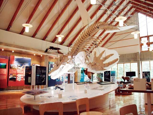 知床羅臼ビジターセンター