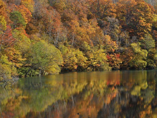 秋の北海道旅行 天気と観光のポイント