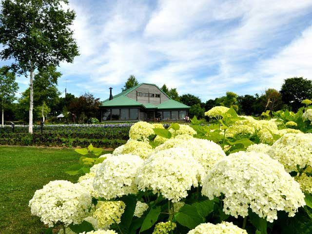 北海道ガーデン街道 花めぐり観光 おすすめスポット まっぷるトラベルガイド
