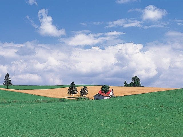 美瑛の丘 Cmやポスターになった絶景めぐり まっぷるトラベルガイド