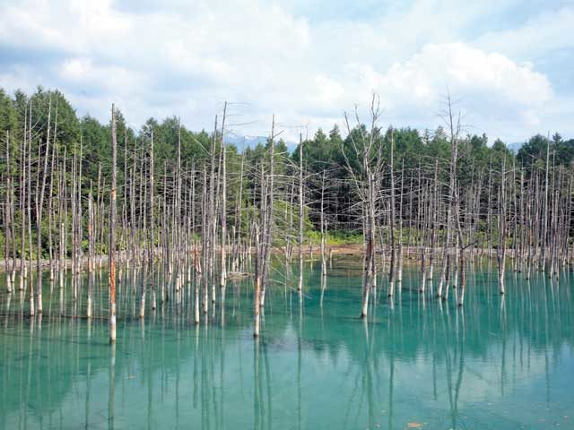 北海道旅行 ２泊３日おすすめモデルプラン 人気スポット制覇 観光旅行メディア まっぷるトラベルガイド