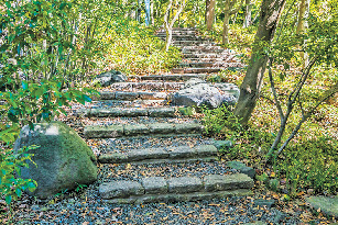 この小径を歩きたい