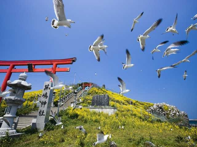 青森 種差海岸 緑の絶景をぶらりさんぽ まっぷるトラベルガイド