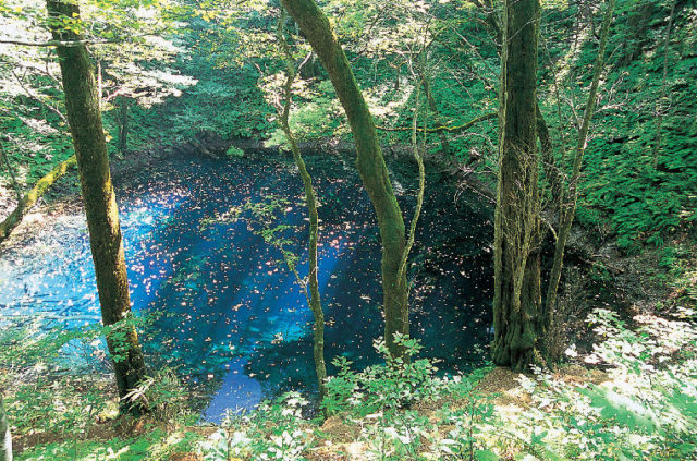 青森 白神山地 悠久の時を感じる森 世界遺産を歩く 観光旅行メディア まっぷるトラベルガイド