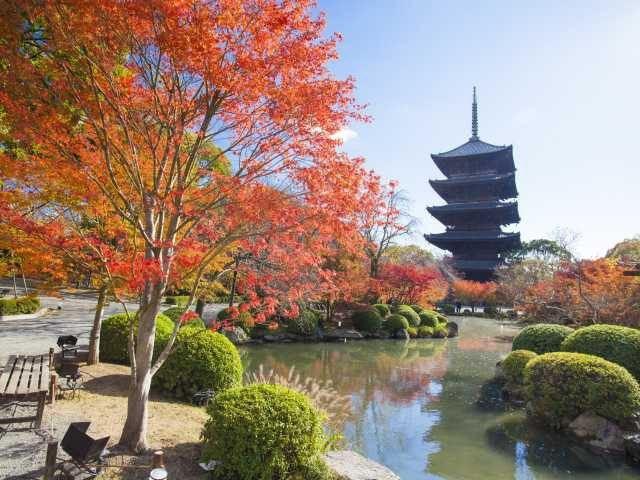 京都 東寺 教王護国寺 ランドマークは五重塔 まっぷるトラベルガイド