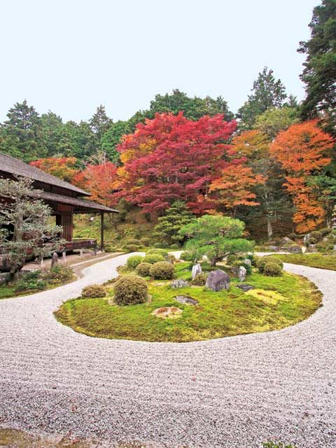 【修学院&一乗寺&岩倉×観光】枯山水の庭と紅葉が風流な寺「曼殊院」