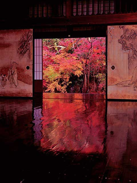 【修学院&一乗寺&岩倉×観光】床もみじで知られる格式ある門跡寺院「実相院」