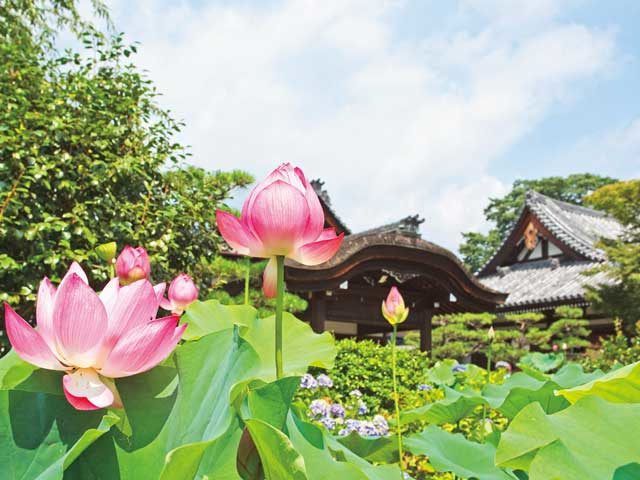 京都 金閣寺周辺 観光 グルメスポットをチェック まっぷるトラベルガイド