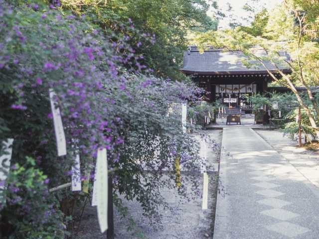 京都 観光旅行の楽しみ 季節ごとの魅力をチェック まっぷるトラベルガイド