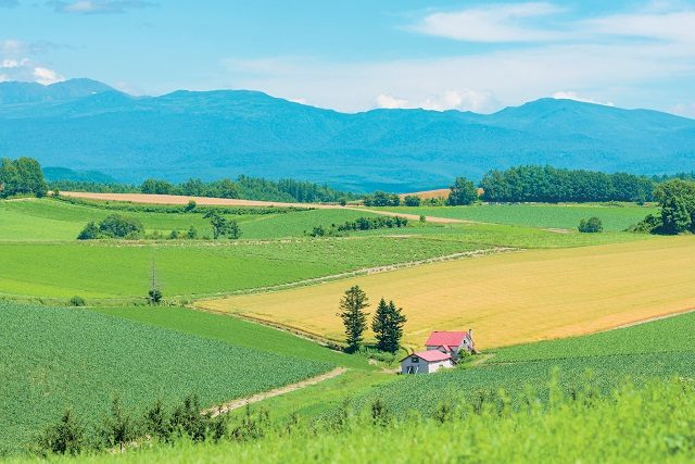 北海道 富良野 美瑛 旭川 早わかり エリア 基本情報をチェック まっぷるトラベルガイド