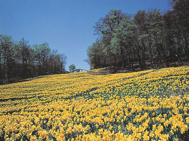 仙台 山梨県長坂 寒い