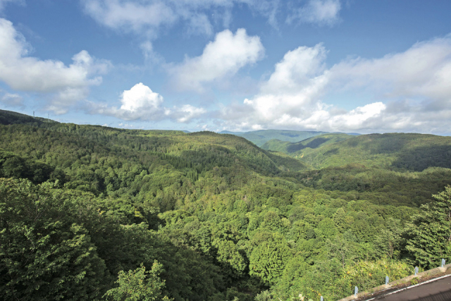 青森 八甲田山麓を走る絶景ドライブコースをご案内 まっぷるトラベルガイド