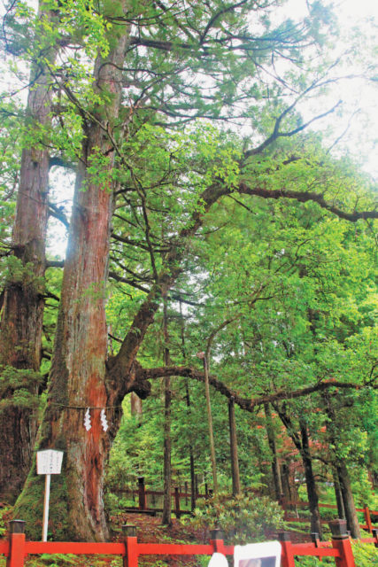 栃木 日光 二荒山神社 境内すべてがパワースポット まっぷるトラベルガイド