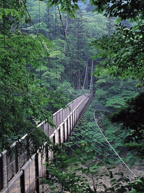 回顧の吊橋