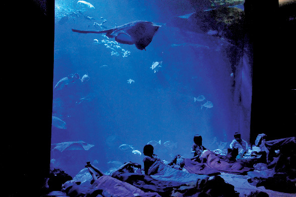 こんなイベントもある!