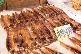 【函館×函館漁港イカセリ】函館市水産物地方卸売市場