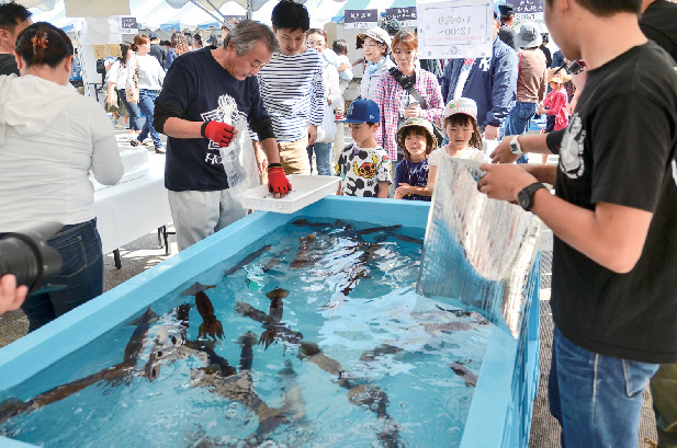 【函館×イカ】イカのお祭りがある!?