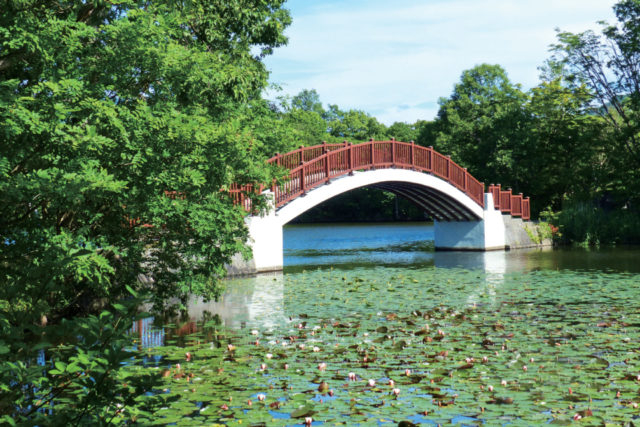 【ココを歩く!】気軽に歩いて大沼の自然を満喫「大沼湖畔遊歩道」