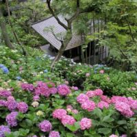 鎌倉観光はこれでOk！おすすめの観光スポットと各エリアの特徴 - まっぷるトラベルガイド