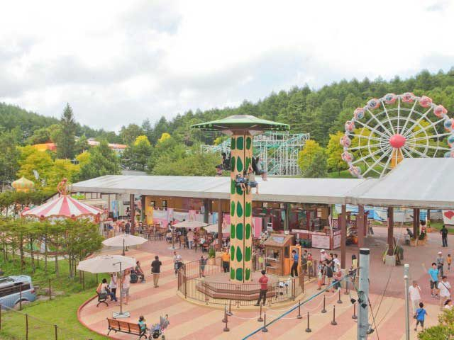 長野 蓼科 ビーナスライン で人気 おすすめの観光 グルメ お土産スポット 13枚目の画像