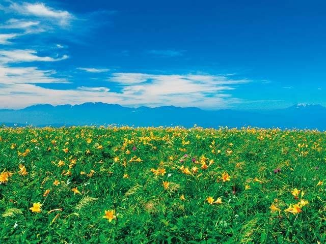 霧ヶ峰 美ヶ原 高原ハイキング 植物と風景に癒される 観光旅行メディア まっぷるトラベルガイド