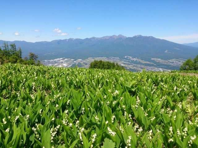 長野 原村 富士見高原 で人気 おすすめの観光 グルメ ショッピングスポット まっぷるトラベルガイド