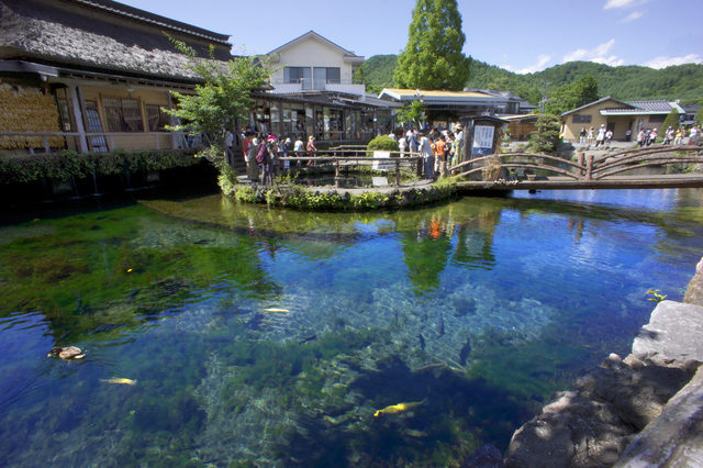 【忍野八海めぐり】③中池