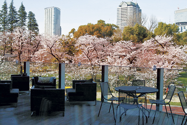 【六本木・東京ミッドタウン×ランチ】NIRVANA New York