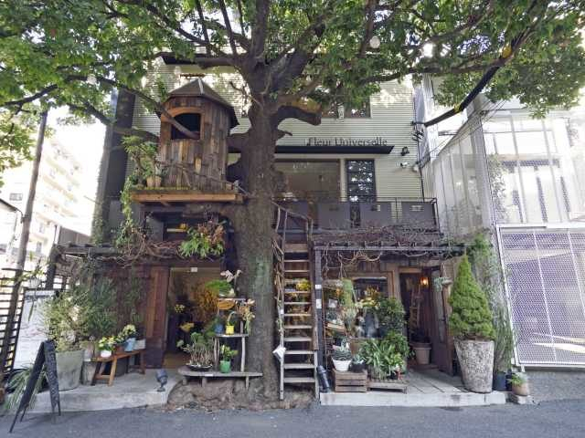 流行りもので東京観光 インスタ映え抜群なおしゃれフォトスポット 4枚目の画像