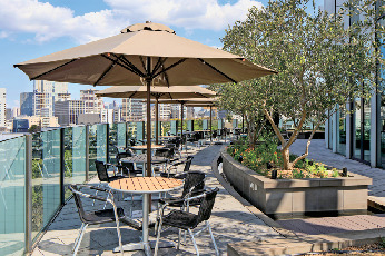 【六本木・東京ミッドタウン×ランチ】六本木テラス フィリップ・ミル