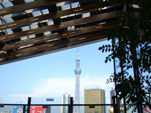 スカイツリーや浅草寺を見ながらティータイム 浅草 眺望自慢のカフェ厳選4店 観光旅行メディア まっぷるトラベルガイド