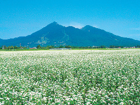 ラ・ネージュ店主に聞く!