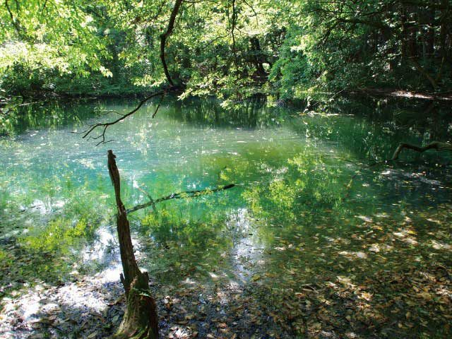 山形 おすすめドライブコース 絶景にグルメに名湯 まっぷるトラベルガイド