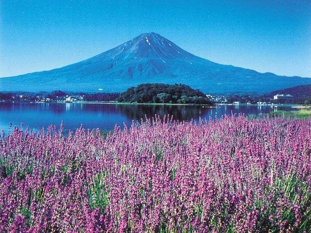 富士山麓 いいトコどり観光 １泊２日おすすめコース３選 まっぷるトラベルガイド