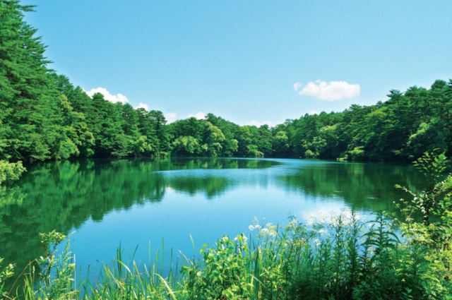 福島 磐梯高原 裏磐梯をハイキング 五色沼 桧原湖の風景を楽しもう まっぷるトラベルガイド