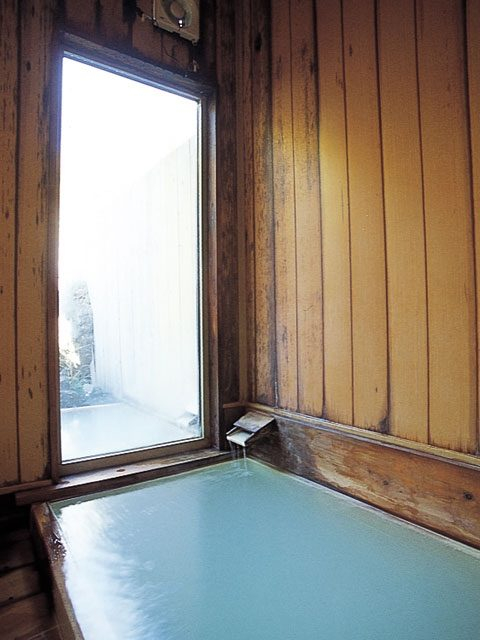 双色の源泉 山水館信濃