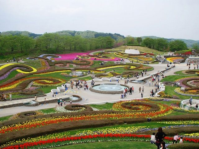 全国 バラ コスモス コキアなど秋の花を見に行こう 9月10月11月が見頃の花の名所選 19年版 観光旅行メディア まっぷるトラベルガイド