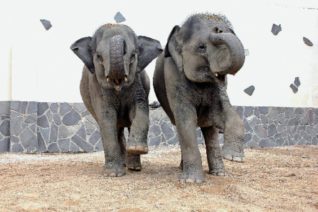 岩国 柳井・徳山