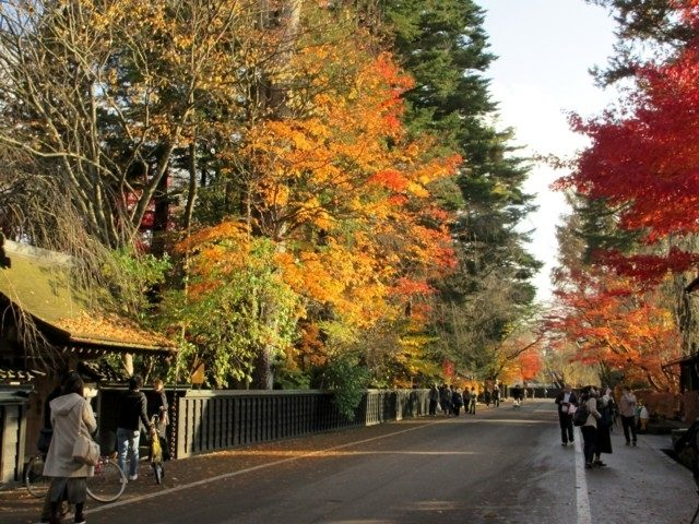 全国 秋の絶景を見に行く おすすめ紅葉の名所 選 まっぷるトラベルガイド