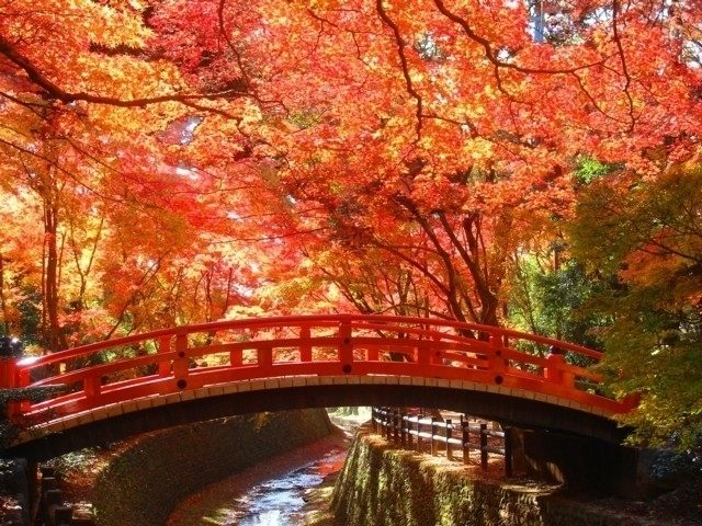 全国 秋の絶景を見に行く おすすめ紅葉の名所 選 まっぷるトラベルガイド