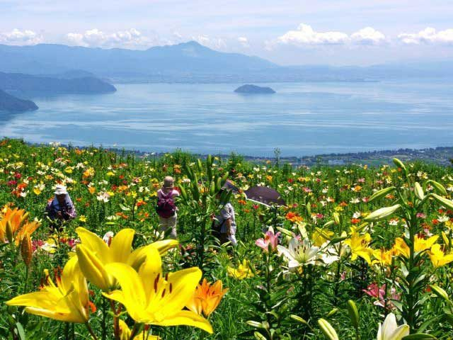 滋賀 花畑ハイキング お手軽登山を体験 11枚目の画像