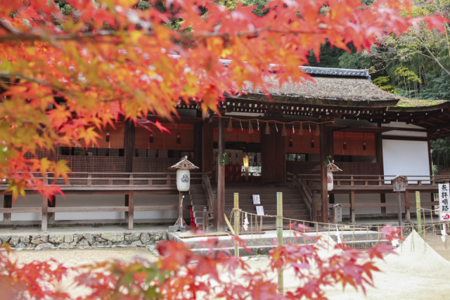 京都 宇治の紅葉おすすめスポット 平等院 宇治上神社 三室戸寺をめぐる まっぷるトラベルガイド