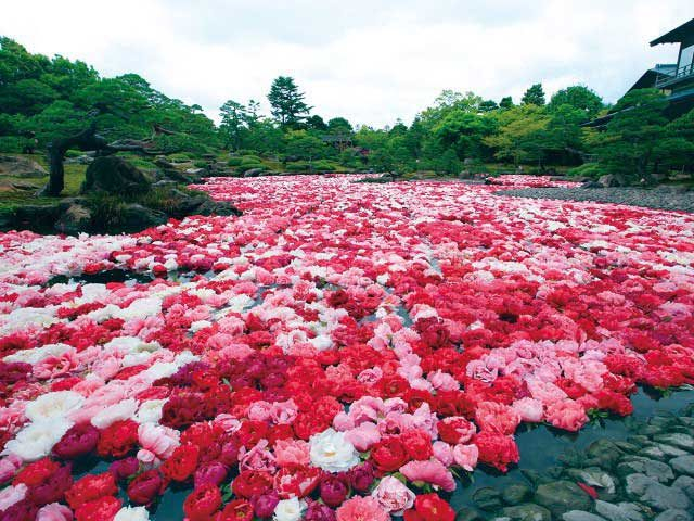 【島根】松江郊外１泊２日！おすすめの名所をめぐる旅行プラン！