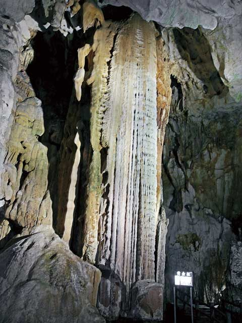 秋芳洞王道コース⑦ 黄金柱