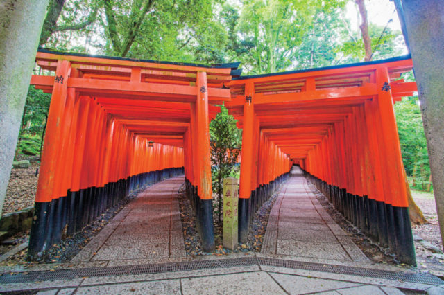 京都 伏見稲荷大社周辺 紅葉おすすめスポット 観光旅行メディア まっぷるトラベルガイド