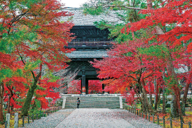 京都 南禅寺周辺 紅葉おすすめスポット まっぷるトラベルガイド