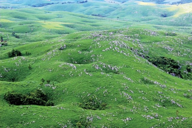 山口 秋吉台 緑のカルスト台地の見どころをチェック まっぷるトラベルガイド